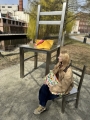 IMG_1334.jpeg