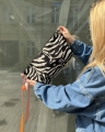 jamnik mikro zebra.jpeg