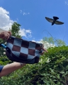 IMG_4243.jpeg
