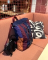 IMG_2954.jpeg